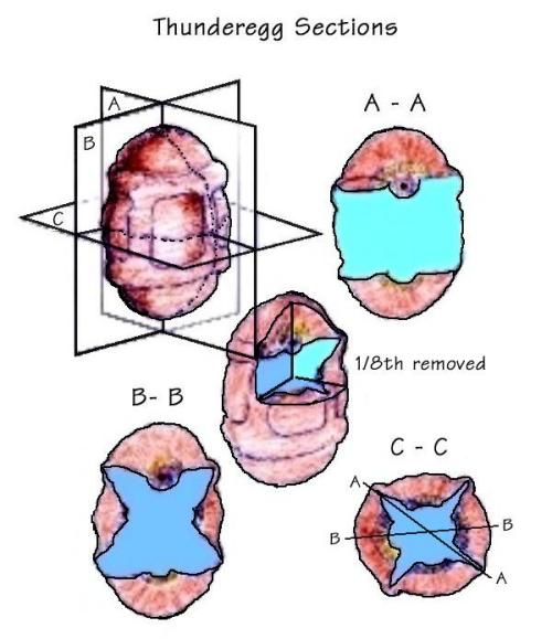 Sections